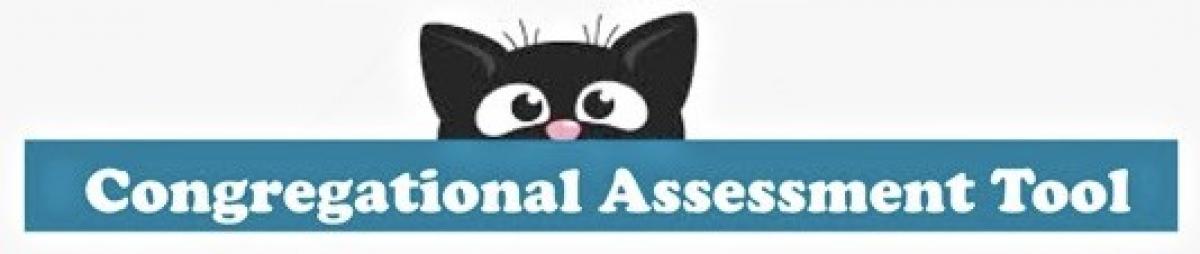  Congregation Assessment Tool (CAT)